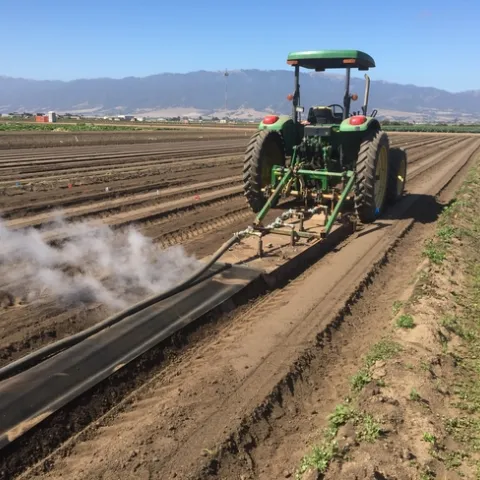 Band steaming