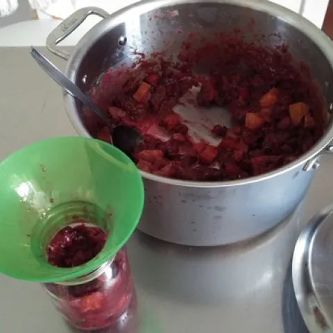 Freezing prepared chutney