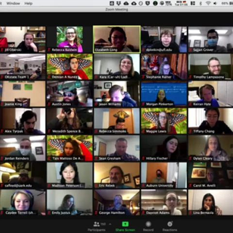A screen shot of the finals at the Virtual Entomology Games. (Image by Jill Oberski)