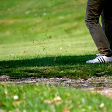 Professionals who manage landscapes like lawns, golf courses, parks, cemeteries and school grounds are searching for new ways to tackle weeds. (Photo: Pixabay)