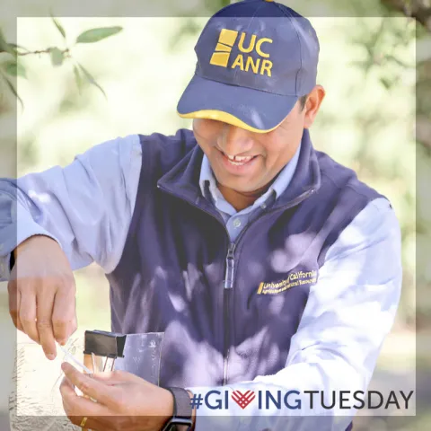 Man with UCANR Cap
