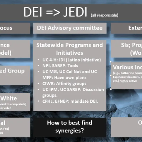 DEI graphic