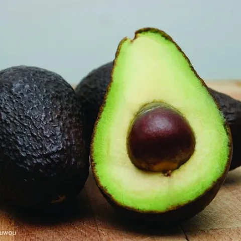 avocado Hoy CArmen