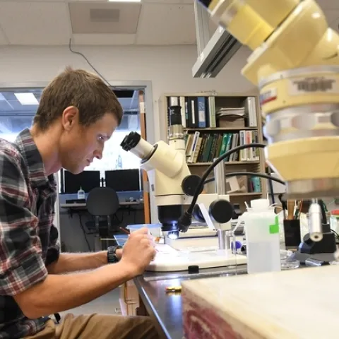 Coordinator of the UC Davis Department of Entomology and Nematology's winter quarter seminars is Agricultural Extension specialist Ian Grettenberger, shown in his lab in Briggs Hall. (Photo by Kathy Keatley Garvey)