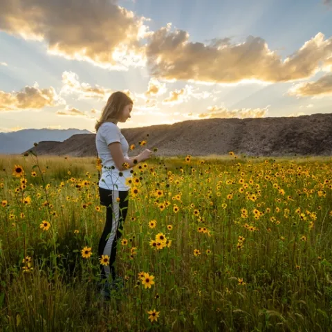 Dustin's daughter stands in a field of sunflowers, looking down at the flowers.