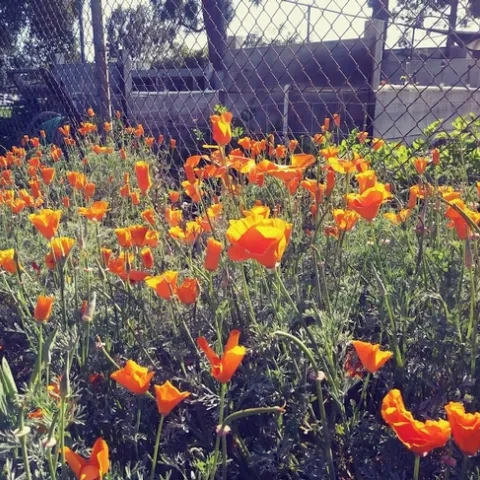 feb blog 1