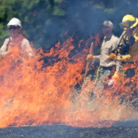2017 prescribed burn training in Humboldt County
