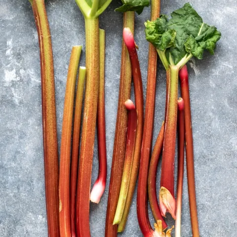 Pulled rhubarb Photo: monika-grabkowska