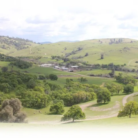 SFREC Landscape