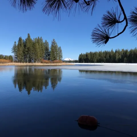 Icy weekend