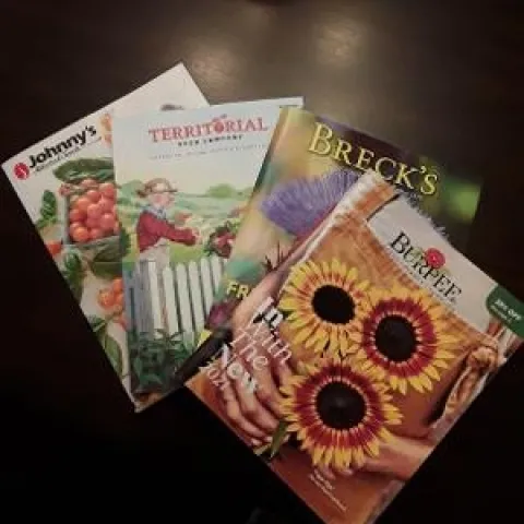 catalogs
