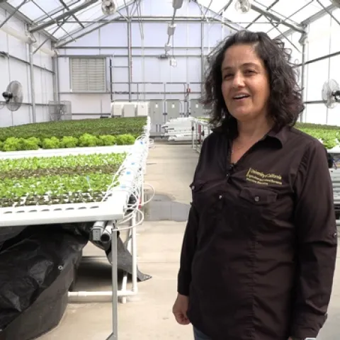 GreenHouse Clara Wilshire