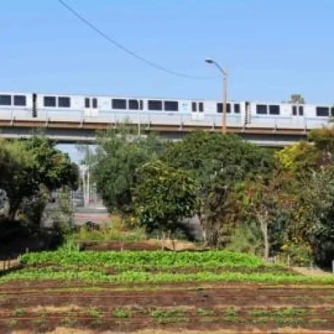 Urban ag