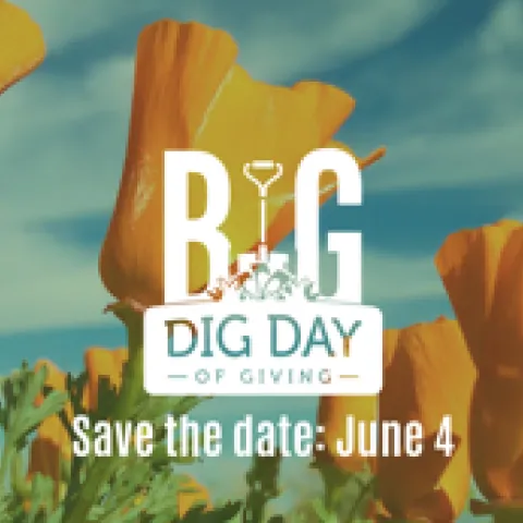 Big Day June 4