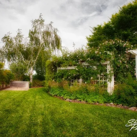 Landscape backyard