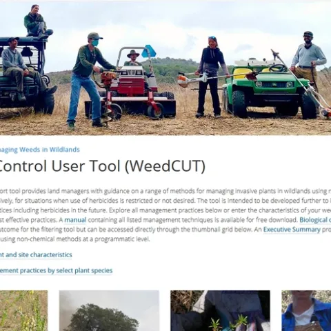 WEED CUT