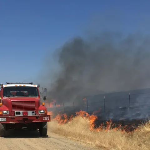 SFREC fire (2)