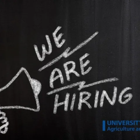 We are hiring