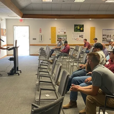 Citrus thrips field day Aug. 25