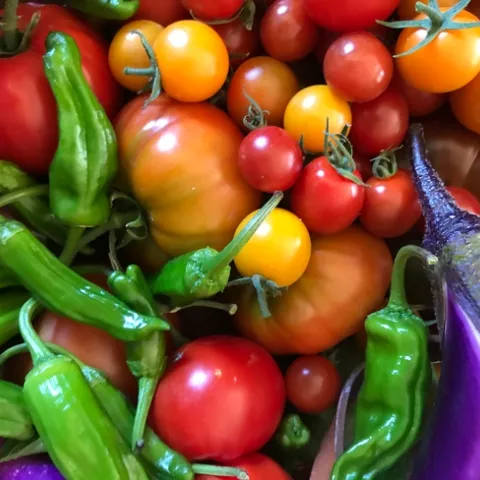 Fresh produce