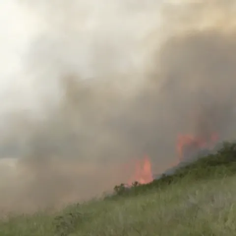 Wildfire smoke