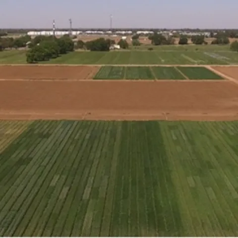 Davis 2020 21 Trial