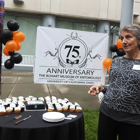 Lynn Kimsey, director of the Bohart Museum of Entomology and a UC Davis distinguished professor of entomology, addresses the crowd at the 75th anniversary party hosted last Saturday by the Bohart Museum Society. (Photo by Kathy Keatley Garvey)