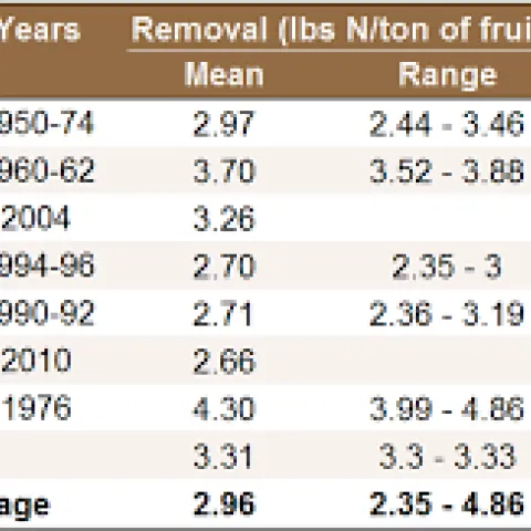 Citrus N uptake
