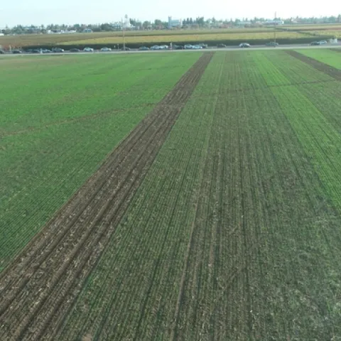 DJI 0228