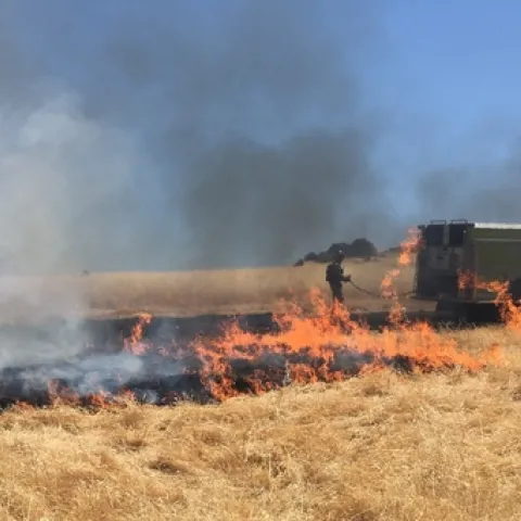 SFREC fire 3