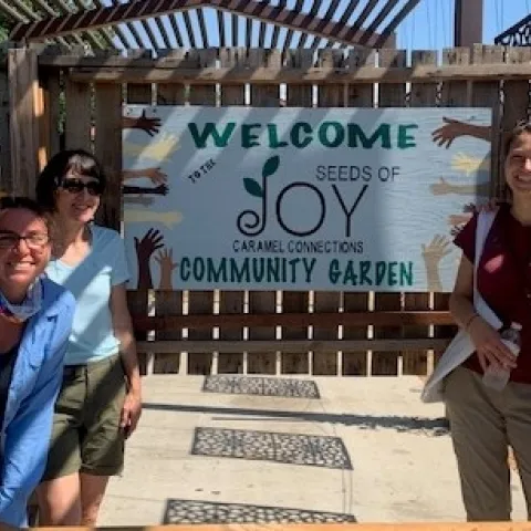 Seeds of Joy 1