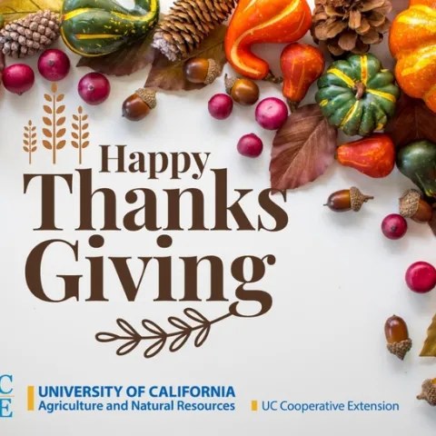 Happy Thanksgiving!