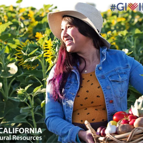 GivingTuesday
