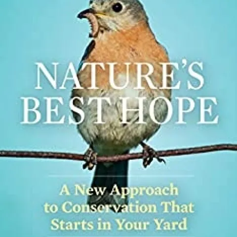 Picture of book, red chested bird perched on a twig