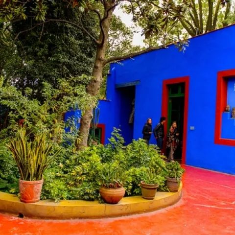 frida-garden-sm