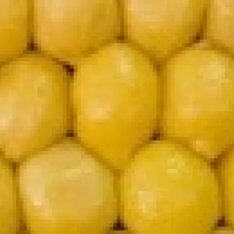 lemons