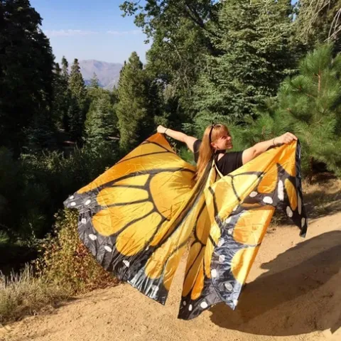Brook butterfly