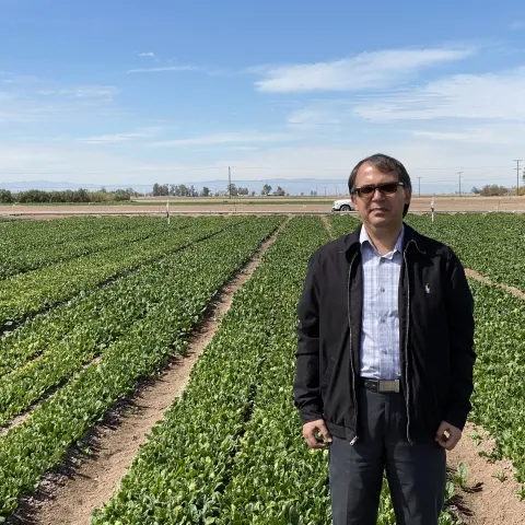 Spinach trial (1)