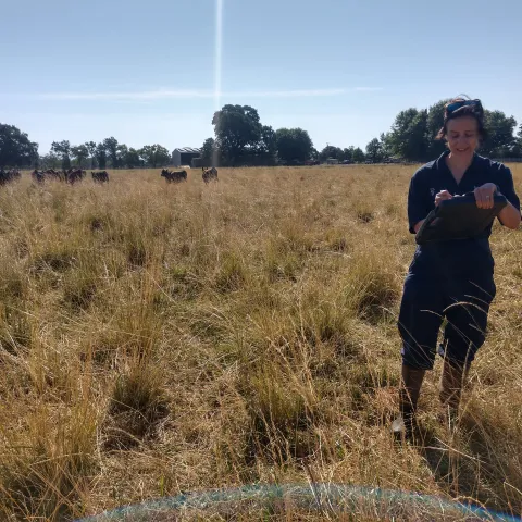 AMR_sampling3 (1)