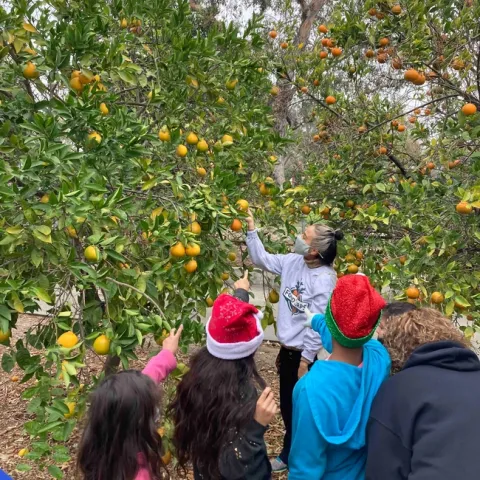 FoodCorps lessons in the garden