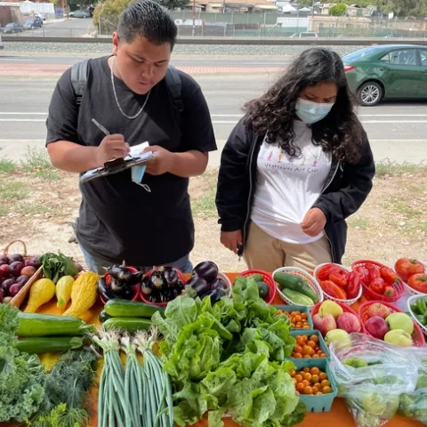 Jóvenes ofrecen alimentos a la comunidad