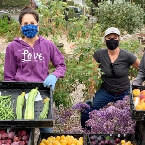 Jardinería
