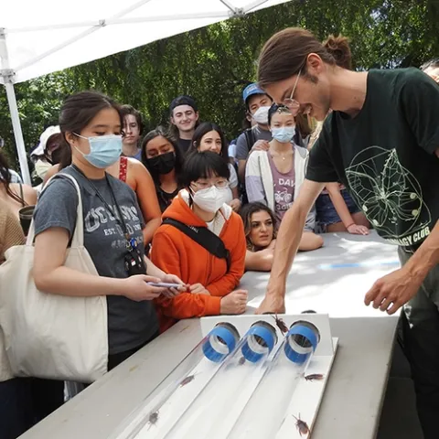 Kyle Elshoff of the UC Davis Entomology Club retrieves a winning roach. (Photo by Kathy Keatley Garvey)