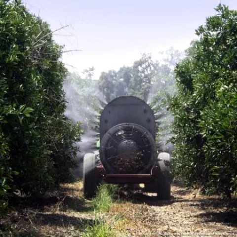 air blast sprayer citrus
