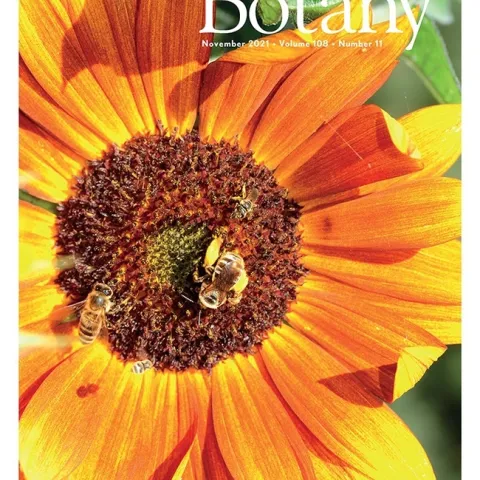 Maureen Page and Charlie Casey Nicholson co-authored the cover story in the American Journal of Botany on "A Meta-Analysis of Single Visit Pollination Effectiveness Comparing Honeybees and other Floral Visitors." (Cover photo by Kathy Keatley Garvey)