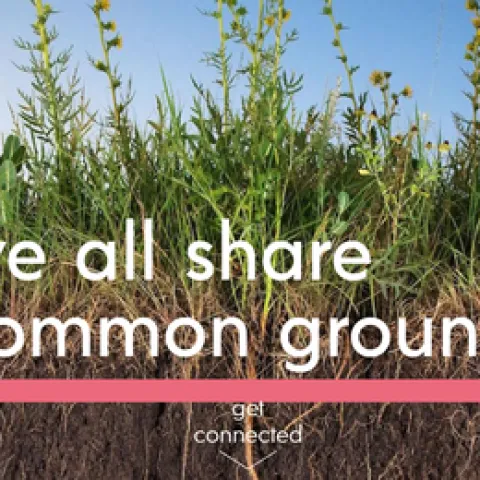 common ground