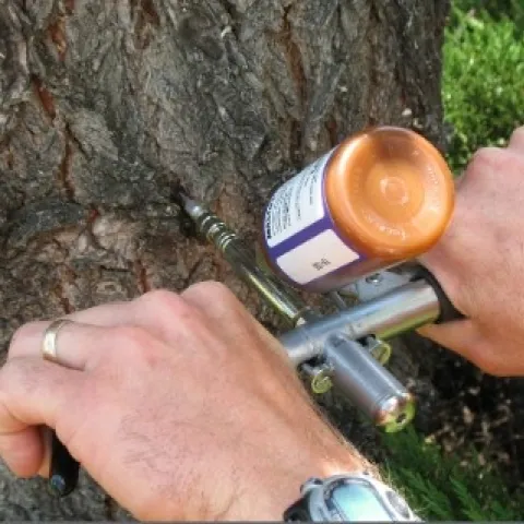 trunk injection