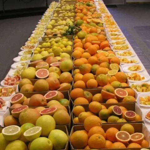 citrus table varieties