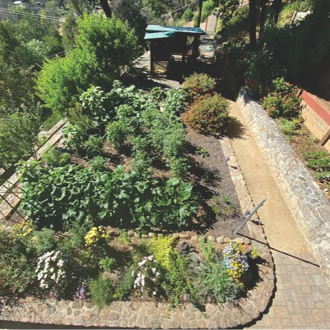 aerial shot