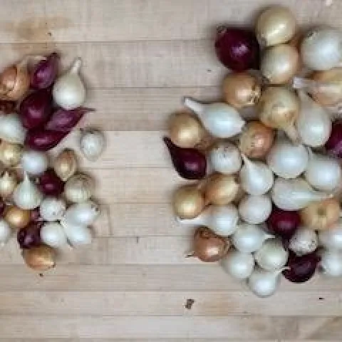 Sort by Size